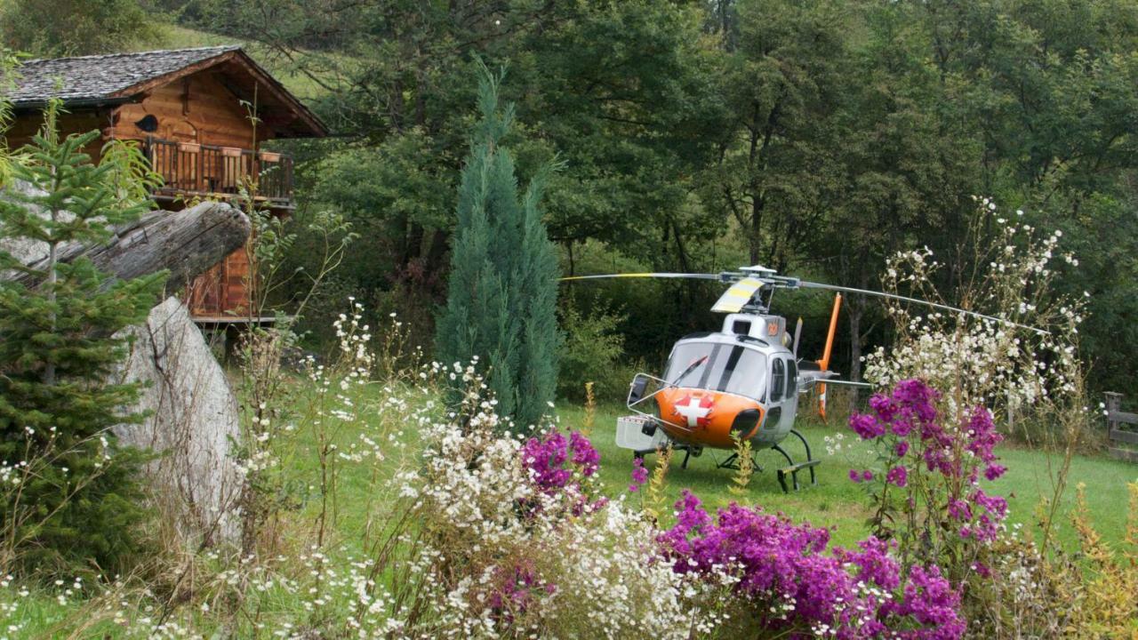 Chamonix petit chalet Cocooning Servoz Esterno foto